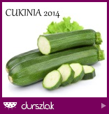 Cukinia 2014