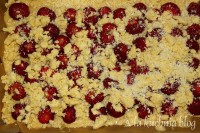 drożdżowe wilgotne ciasto z truskawkami kokos kruszonka z owocami owocowe