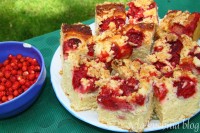 drożdżowe wilgotne ciasto z truskawkami kokos kruszonka  z owocami owocowe