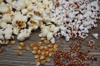 popcorn sorgo kukurydza iny domowy ziarno